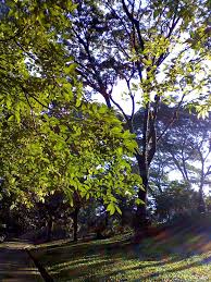 Pejabat tenaga kerja batu pahat pejabat tanah perak tengah pekeliling kerja lebih masa pejabat tanah dan galian klang pemandangan. Bandar Sri Damansara Kuala Lumpur Federal Territory Of Kuala Lumpur Malaysia Mapio Net