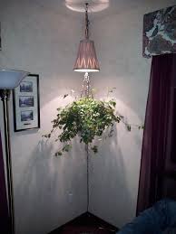 Husband Incorporated A Grow Light Into This Hanging Planter And Added A Timer Amazing Indoor Gardens Hanging Planters Grow Lights
