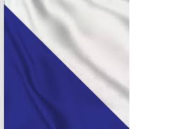 The silver fern was designed by kyle lockwood. Zurich Flag