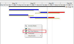 How Does Progress Line In Primavera P6 Work Dedicated To