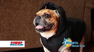 Check spelling or type a new query. Services Moneta Heating And Air