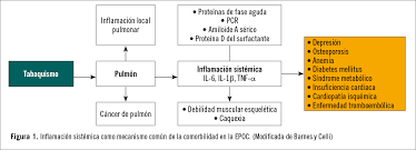 • la enfermedad cardiovascular es la comorbilidad de mayor relevancia en la epoc. Tema 5 Un Problema Cotidiano En Atencion Primaria El Paciente Con Epoc Y Sus Comorbilidades
