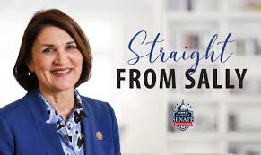 News Archives - Sally Turner