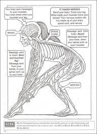 Human Body Coloring Book Human Body Systems Human Body Unit Human Body