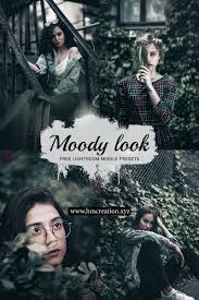 Moody Look Lightroom Mobile Presets And Lightroom Presets In 2020 Lightroom Presets Free Lightroom Presets Download Lightroom
