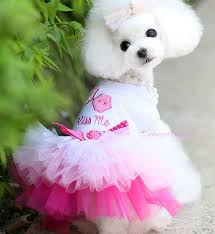 Vestido Romantico Con Falda De Tul Talla Xs 8 90 Ideal Para Bichon Maltes Caniche Toy Yorkshire Terrier Small Dog Dresses Princess Dog Dress Princess Dog