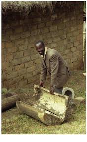 Image result for Dissotis ruandensis