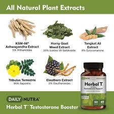 9 body hacks to naturally increase testosterone. Forum 2021 Raise Testosterone Naturally Herbs Steroidsni12 Residence Napoli It