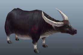 Water Buffalo 3d Model Google Tim Kiếm Trong 2020