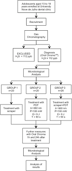 Flowchart Of Study P Output Power E Energy And T