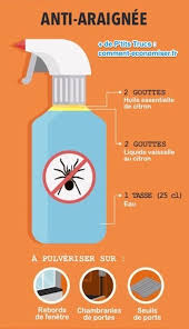 7 Repulsifs Naturels Contre Les Insectes A L Efficacite Redoutable Produit De Nettoyage Faits Maison Produit Anti Araignee Recette Produit Menager