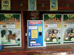 Harga tiket masuk sangat terjangkau. Apa Yang Best Di Farm In The City Seri Kembangan Ni