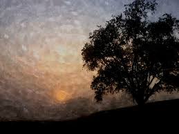 Image result for fotosketcher