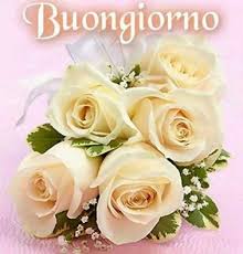 Una grande quantità delle immagini da condividere raffigura fiori, come le rose, le margherite e le campanule. Giorno Fotografia Di Fiori Buongiorno Fiori