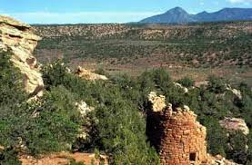 We did not find results for: Canyons Of The Ancients National Monument Wikipedia