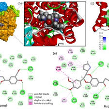 Image result for Ruspolia australis