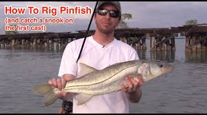As you wait patiently for that thump that all snook fisherman know all to well. 5 Shortcuts For Catching Snook In Florida Like A Pro