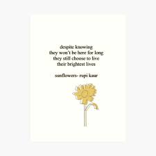 I want to apologize to all the women i have called beautiful. Rupi Kaur Art Prints Redbubble