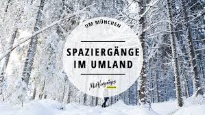 Auch Wenn Einem Munchen Oft Vorkommt Wie Ein Dorf Hat Man Manchmal Das Gefuhl Dem Trubel Der Stadt Entfliehe Mit Bildern Munchen Und Umgebung Sommer In Der Stadt Munchen