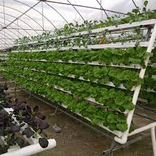 Pvc Nft Hydroponic Channel Hydroponics Aquaponic Gardening Nft Hydroponics