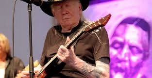 Bush pilot who destroyed Netflix star Chris 'Willow' Wilson's phone after  fatal helicopter crash could be resentenced