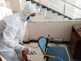 Professional pest control treatment