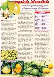 63 Clean Pregnancy Food Chart Week By Week Tamil