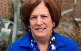 Meet the Team: Ann Clark, District Advisor