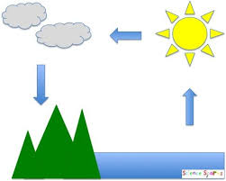 Make A Water Cycle Model Weather Science For Kids Science For Kids Science Experiments Kids Cool Science Experiments