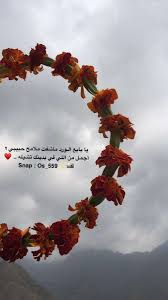 عبارات عن الورد تويتر