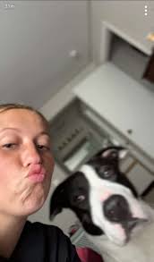 Lost dog in Muncie near Walmart