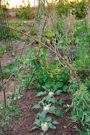 Diy Rankhilfen Aus Weidenruten Rankhilfe Selber Bauen Rankhilfe Kohlrabi Pflanzen