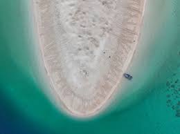 Torres Strait Regional Authority elections