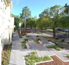 over 10 000 rain gardens benefit melbourne s waterways freiraum