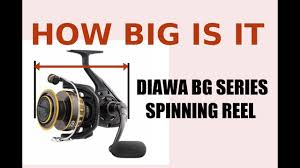 How Big Are Daiwa Bg Series Spinning Reels Size Review 2500 Model