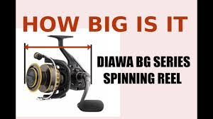 how big are daiwa bg series spinning reels size review 2500 model