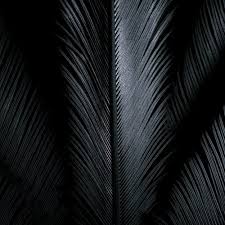 Can you use plain black wallpapers on android? 70 000 Best Plain Black Wallpaper Photos 100 Free Download Pexels Stock Photos