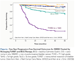 Counterpoint Is Immediate Radical Cystectomy Justified When Non Muscle Invasive Bladder Cancer First Presents As High Grade T1 Urothelial Carcinoma On Re Resection Cancer Network