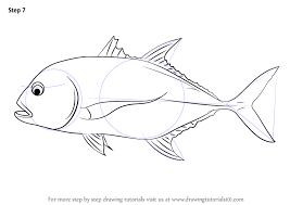 How To Draw A Giant Trevally Drawingtutorials101 Com Drawings Fish Drawings Fish Art