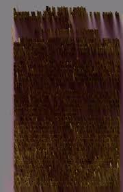 Sistema, ó curso completo de cirurgía