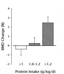 Hypothesis Increased Bone Mineral Density Needs Protein Ca