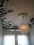 Decorative Ceiling Border Design