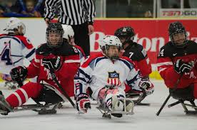 National hockey league american hockey league canadian hockey league. Sledge Hockey Wikipedia