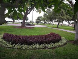 La Pera Del Amor Park Lima 2020 All You Need To Know Before You Go With Photos Lima Peru Tripadvisor