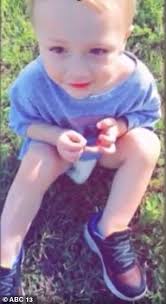 Toddler, two, dies after being found unresponsive in great-grandmother's  pool