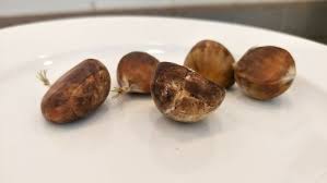 Maronen Richtig Zubereiten So Geht S Maronen Zubereiten Kastanien Zubereiten Maronen