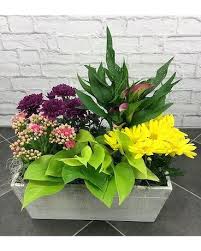 Year long flowers in a box. Flower Box Sylvia S Amling S Flowers