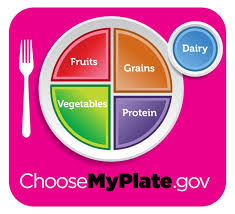 myplate fruit veg grains dairy and protein