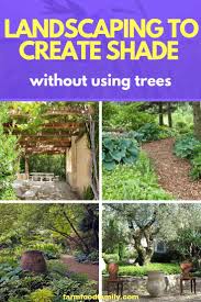 While you can grow quite a bit of food in small spaces, you won't be able to grow everything your heart desires. Landscaping To Create Shade Without Using Trees Farmfoodfamily