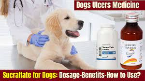 What Is Sucralfate For Dogs Dosage Chart Serve Dogs